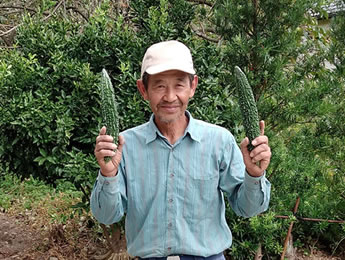 わいわいファーム 生産者募集