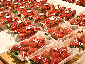 わいわいファーム　イオン若松店