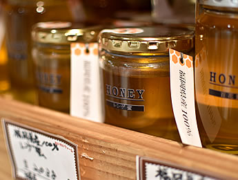 わいわいファーム　イオン若松店